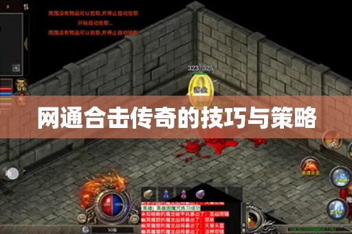 网通合击传奇的技巧与策略